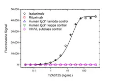 Anti Isatuximab Antibody, clone AbD64592 gallery image 2