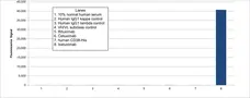 Anti Isatuximab Antibody, clone AbD64597ia gallery image 1