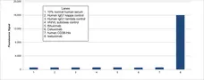 Anti Isatuximab Antibody, clone AbD64599ad gallery image 1