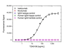 Anti Ixekizumab Antibody, clone AbD60557 gallery image 2
