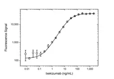 Anti Ixekizumab Antibody, clone AbD60557 gallery image 3