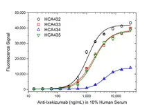 Anti Ixekizumab Antibody, clone AbD60570ia gallery image 3