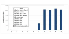 Anti MMAE Antibody, clone AbD50348 gallery image 1