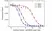 Anti MMAE Antibody, clone AbD50348 thumbnail image 3