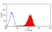 Anti Mouse ABCA1 Antibody, clone 5A1-1422 thumbnail image 1