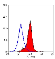 Anti Mouse CD102 Antibody, clone mIC2/4 (3C4) gallery image 1