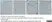 Anti Mouse CD106 Antibody, clone MVCAM A (429) thumbnail image 1