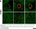 Anti Mouse CD106 Antibody, clone MVCAM A (429) thumbnail image 2