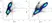 Anti Mouse CD107b Antibody, clone M3/84 thumbnail image 8