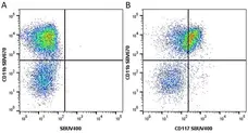 Anti Mouse CD117 Antibody, clone 2B8 gallery image 12