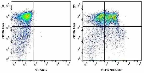 Anti Mouse CD117 Antibody, clone 2B8 gallery image 14