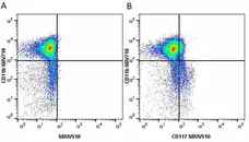 Anti Mouse CD117 Antibody, clone 2B8 gallery image 17