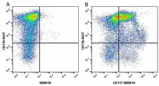 Anti Mouse CD117 Antibody, clone 2B8 gallery image 19