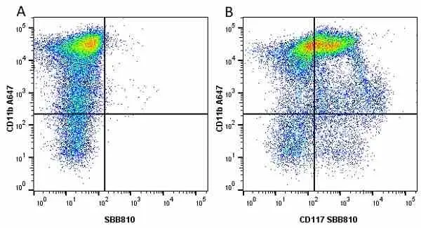 Anti Mouse CD117 Antibody, clone 2B8 gallery image 19