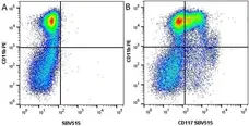Anti Mouse CD117 Antibody, clone 2B8 gallery image 2