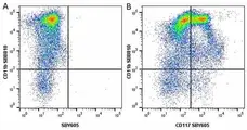Anti Mouse CD117 Antibody, clone 2B8 gallery image 20