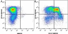 Anti Mouse CD117 Antibody, clone 2B8 gallery image 25