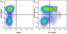 Anti Mouse CD117 Antibody, clone 2B8 gallery image 31