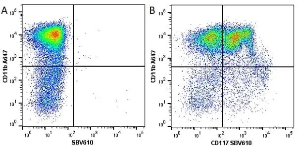 Anti Mouse CD117 Antibody, clone 2B8 gallery image 5