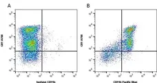 Anti Mouse CD11b Antibody, clone 5C6 gallery image 1