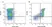 Anti Mouse CD11b Antibody, clone 5C6 thumbnail image 1