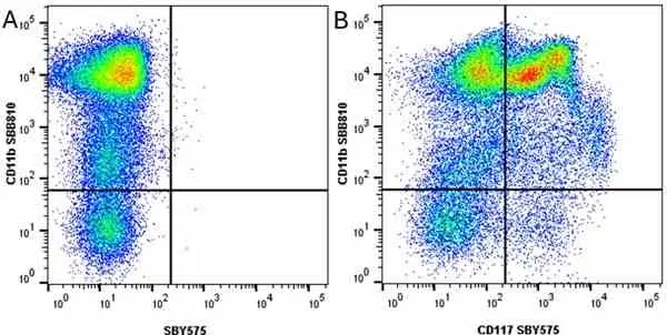 Anti Mouse CD11b Antibody, clone 5C6 gallery image 101