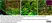 Anti Mouse CD11b Antibody, clone 5C6 thumbnail image 103