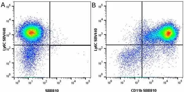 Anti Mouse CD11b Antibody, clone 5C6 gallery image 108