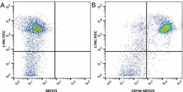 Anti Mouse CD11b Antibody, clone 5C6 gallery image 109
