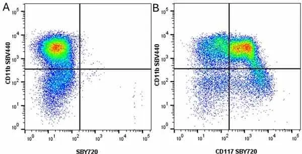 Anti Mouse CD11b Antibody, clone 5C6 gallery image 110
