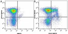 Anti Mouse CD11b Antibody, clone 5C6 gallery image 113
