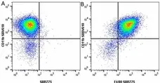 Anti Mouse CD11b Antibody, clone 5C6 gallery image 114