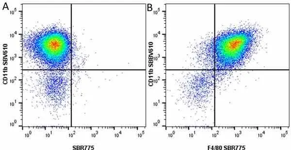 Anti Mouse CD11b Antibody, clone 5C6 gallery image 114