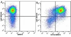 Anti Mouse CD11b Antibody, clone 5C6 gallery image 115