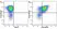 Anti Mouse CD11b Antibody, clone 5C6 thumbnail image 116