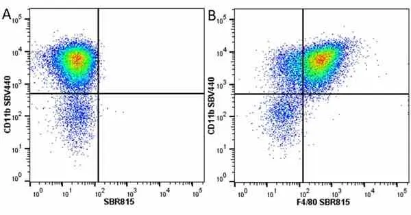 Anti Mouse CD11b Antibody, clone 5C6 gallery image 116