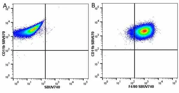 Anti Mouse CD11b Antibody, clone 5C6 gallery image 117