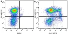Anti Mouse CD11b Antibody, clone 5C6 gallery image 122