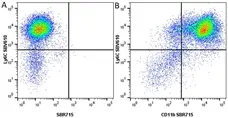 Anti Mouse CD11b Antibody, clone 5C6 gallery image 123