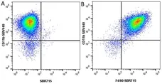 Anti Mouse CD11b Antibody, clone 5C6 gallery image 124