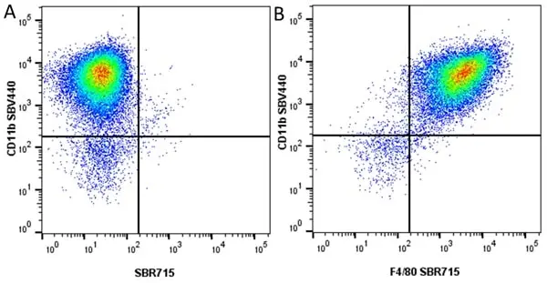 Anti Mouse CD11b Antibody, clone 5C6 gallery image 124