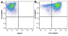 Anti Mouse CD11b Antibody, clone 5C6 gallery image 133