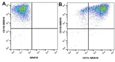 Anti Mouse CD11b Antibody, clone 5C6 gallery image 134