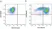 Anti Mouse CD11b Antibody, clone 5C6 thumbnail image 146