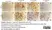Anti Mouse CD11b Antibody, clone 5C6 thumbnail image 18