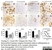 Anti Mouse CD11b Antibody, clone 5C6 thumbnail image 19