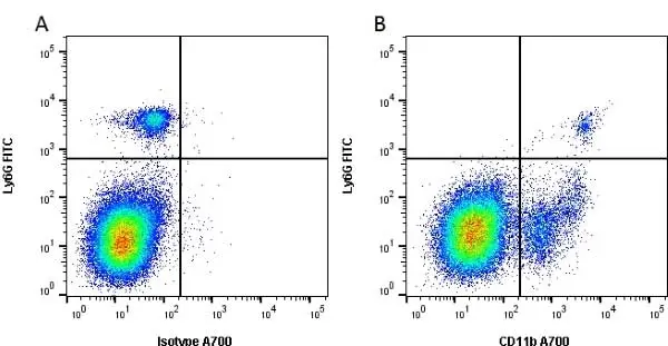 Anti Mouse CD11b Antibody, clone 5C6 gallery image 2