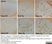 Anti Mouse CD11b Antibody, clone 5C6 thumbnail image 20