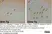 Anti Mouse CD11b Antibody, clone 5C6 thumbnail image 22