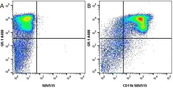 Anti Mouse CD11b Antibody, clone 5C6 gallery image 26
